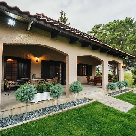 Case de vacanță The Tree House *