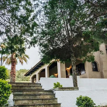 The Tree House Case de vacanță