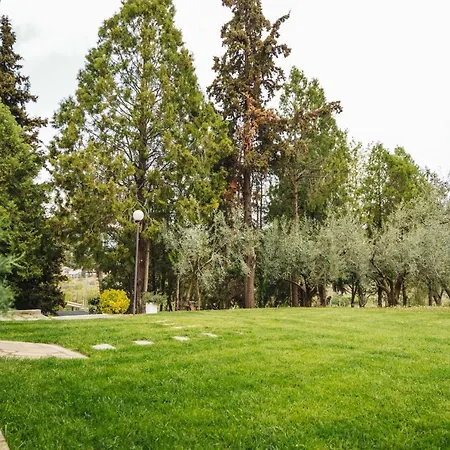 Case de vacanță The Tree House