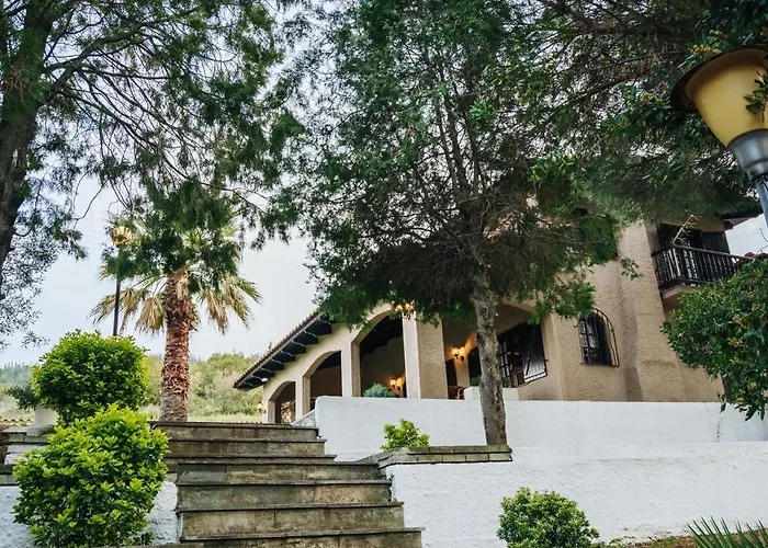 The Tree House Case de vacanță