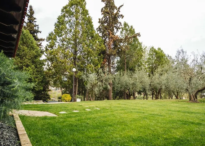 Case de vacanță The Tree House