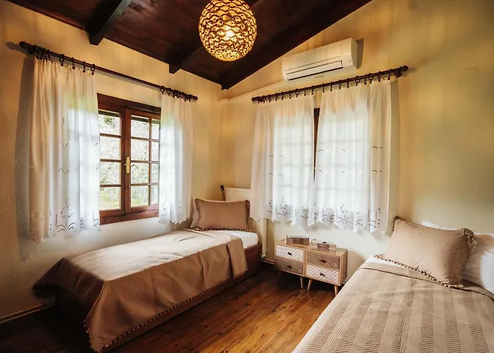 The Tree House Agios Andreas (East Macedonia)